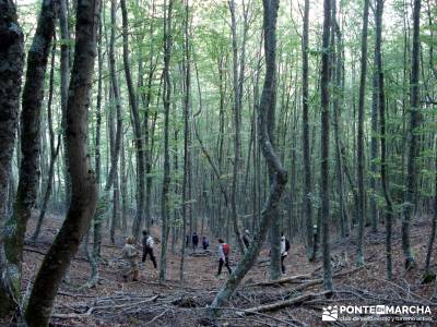 Montaña palentina;programa de actividades mejor calidad calidad en el senderismo